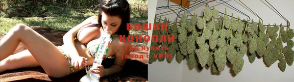 бутират Мегион