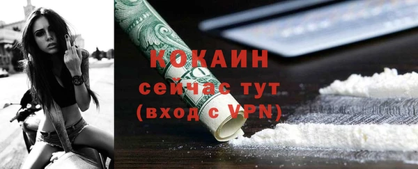 прущие грибы Медногорск