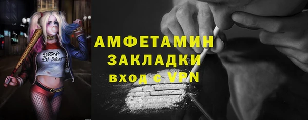 прущие грибы Медногорск