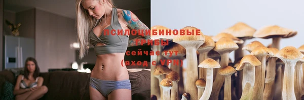 ПСИЛОЦИБИНОВЫЕ ГРИБЫ Медвежьегорск