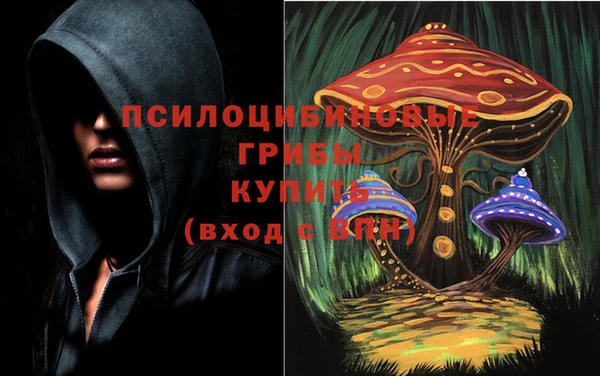 бутират Мегион