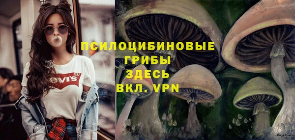 ПСИЛОЦИБИНОВЫЕ ГРИБЫ Медвежьегорск
