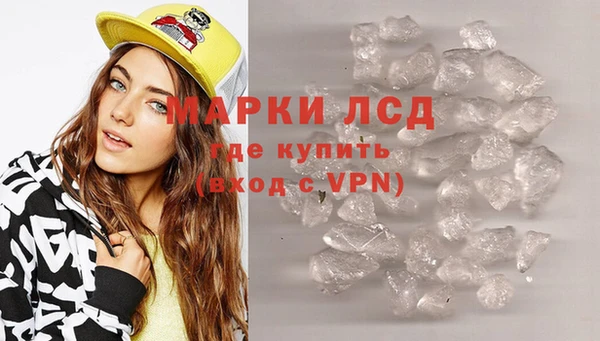 молекула духа Магадан