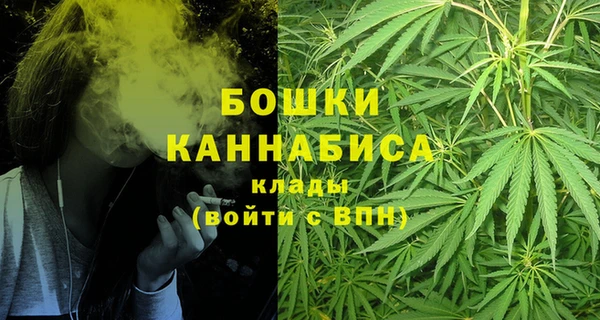 ПСИЛОЦИБИНОВЫЕ ГРИБЫ Медвежьегорск