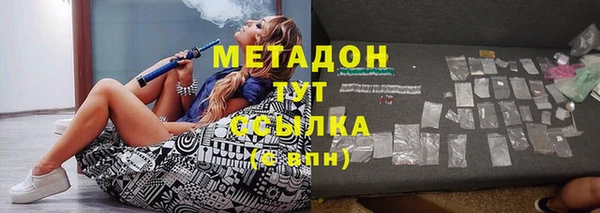прущие грибы Медногорск