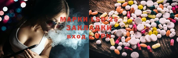 прущие грибы Медногорск
