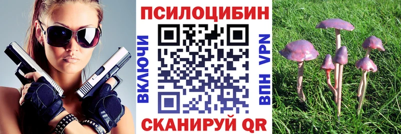 Псилоцибиновые грибы мицелий  Малоархангельск 