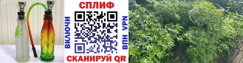 МАРИХУАНА тримм Малоархангельск