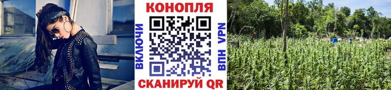 Бошки марихуана марихуана  кракен   Малоархангельск 